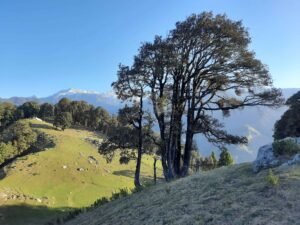 Hanumangarh Trek Bir Billing 