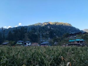Barot Valley