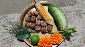 Sair Festival