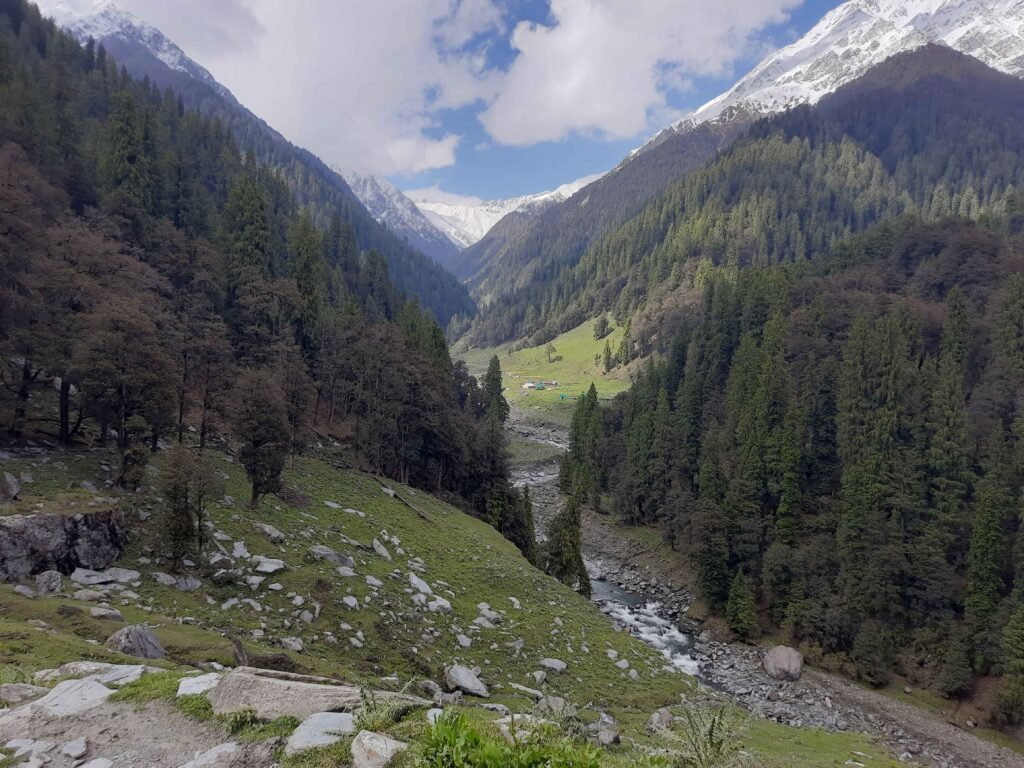 Palachak