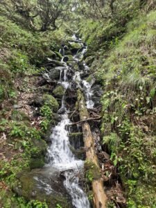 Palachak Trek