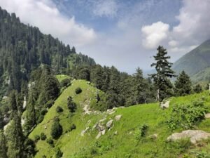 The Green pastures Above Tatwani