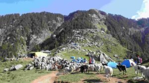 Triund